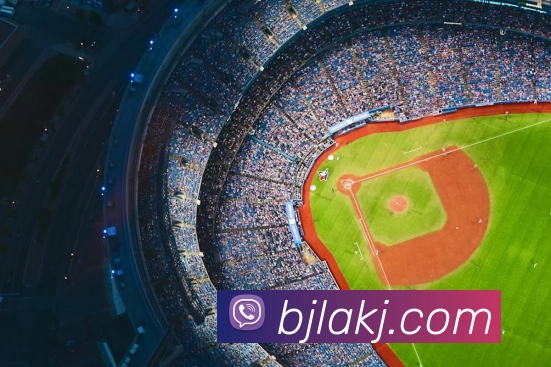 百家乐网站服务体系