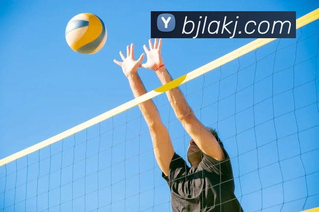 多媒体互动体验